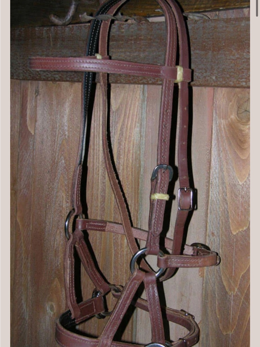 Buckaroo Leather Side Pull Bitless Bridle harness leather NWOT